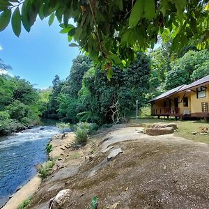 Khaosok Rainforest Resort